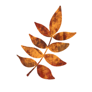 ツツジ・紅葉の葉のイラスト　絵本風　ⒸAtelier Funipo